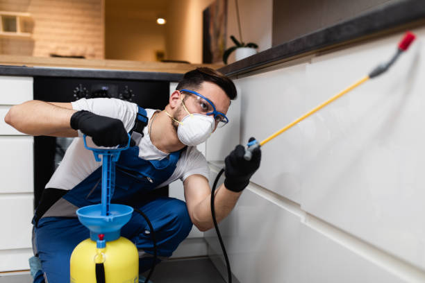 Best Emergency Pest Control  in Hudson, MI