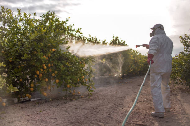Best Local Pest Control Services  in Hudson, MI