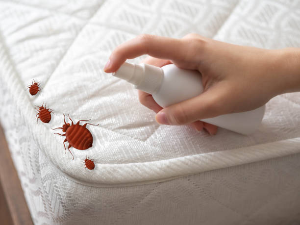 Best Local Pest Control Services  in Hudson, MI