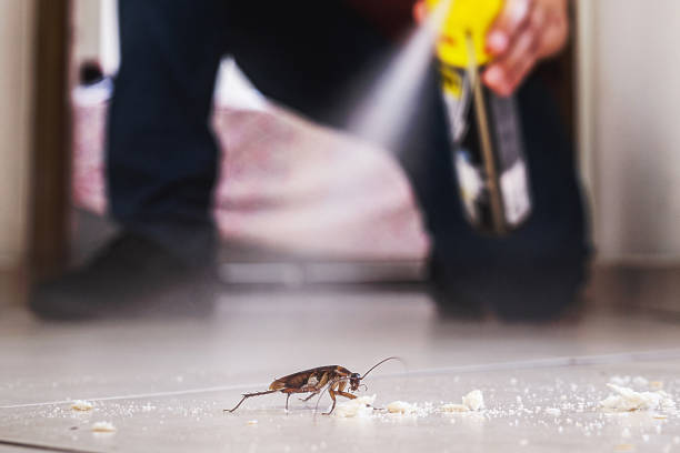 Best Affordable Pest Control Services  in Hudson, MI
