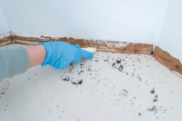 Trusted Hudson, MI Pest Control Experts