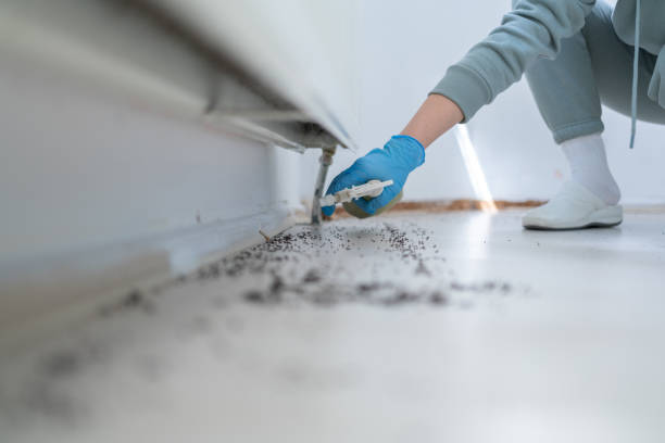 Best Cockroach Control Services  in Hudson, MI